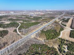 ”中国华能总王鑫感伤道